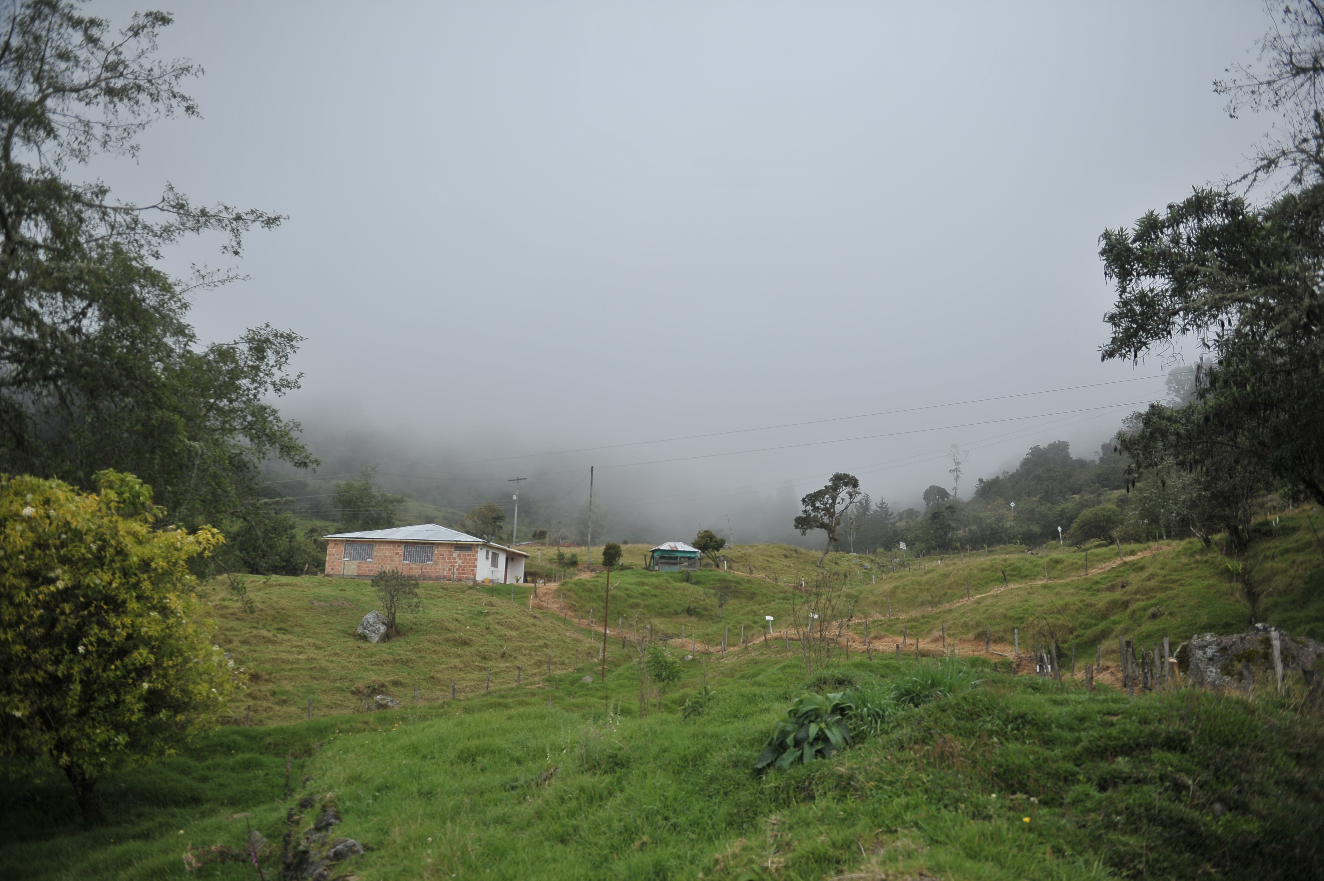 Localidad rural de Bogotá, declarada reserva campesina, diferentes aspectos: Cultivos, habitantes, vistas panorámicas.
