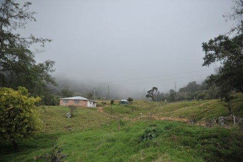 Profesor que había desaparecido en Tolima fue hallado sin vida