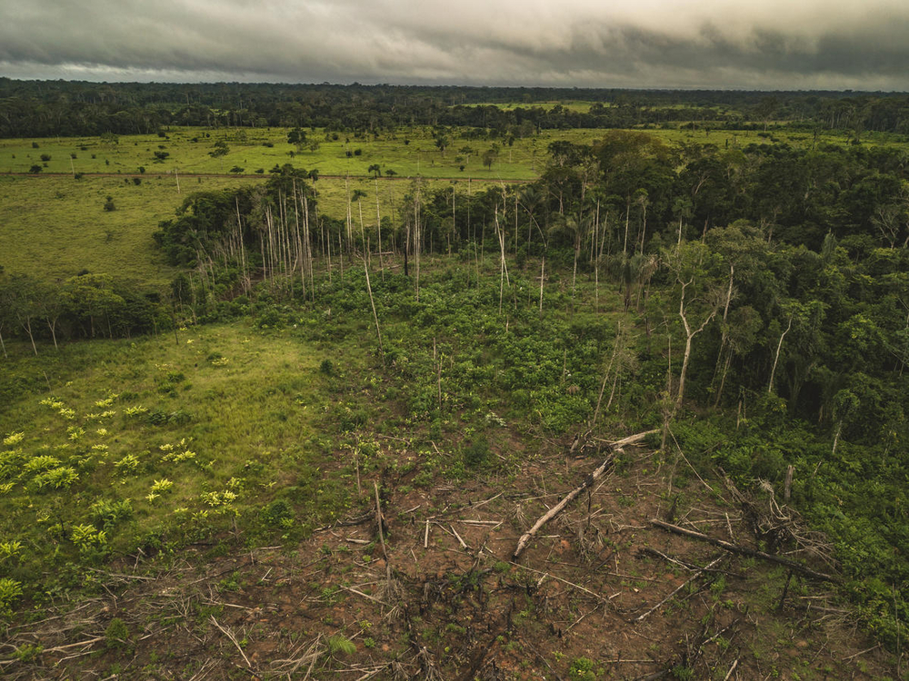 Diez razones por las que el mundo necesita restaurar los ecosistemas