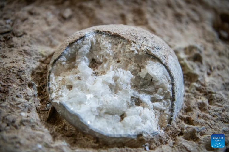 Hallaron tres fósiles de huevos de dinosaurio cristalizados en China