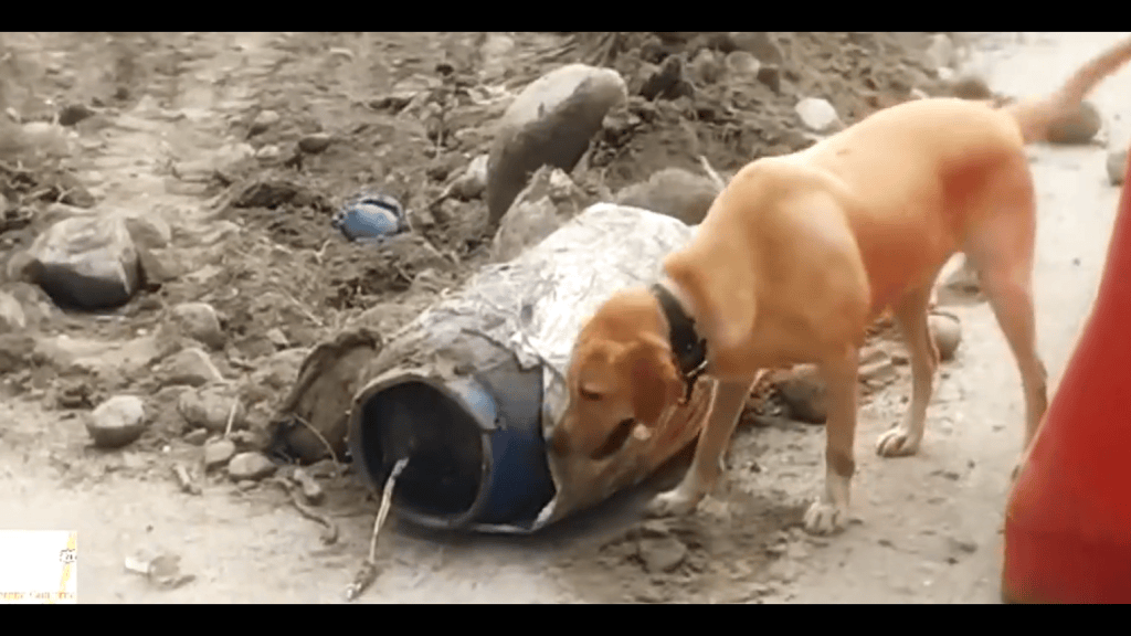 Cilindro bomba en Cauca