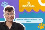 (Video) ¿Los animales pueden ser adictos a las drogas?