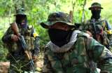 Defensoría alerta por desplazamiento de 46 familias en zona rural de Magdalena