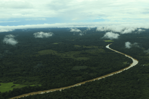 Juzgado tumbó resolución indígena que permitía la minería de oro en el río Guainía