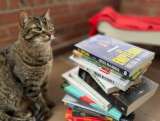 Bogotá lanza biblioteca especializada en libros sobre protección y bienestar animal
