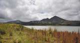 Las decisiones que cambiarán la política ambiental de Bogotá
