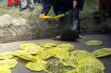 Vecinos del relleno Doña Juana protestan por proliferación de moscas