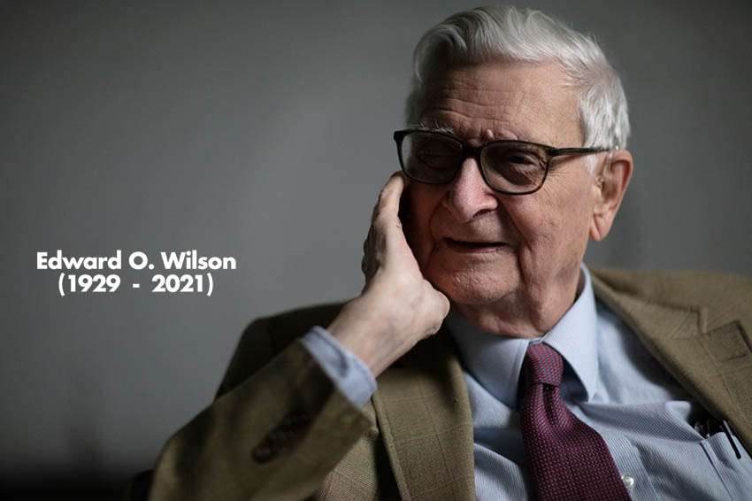 Edward O. Wilson, biólogo estadounidense.