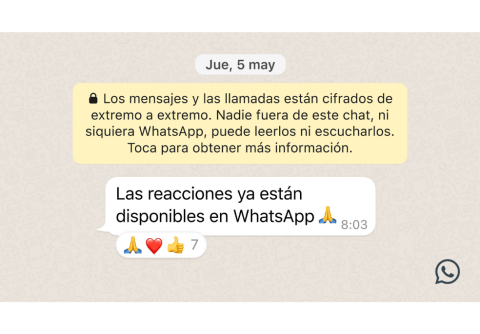 Whatsapp: ¿Qué hacer si todavía no aparece la opción de reaccionar?