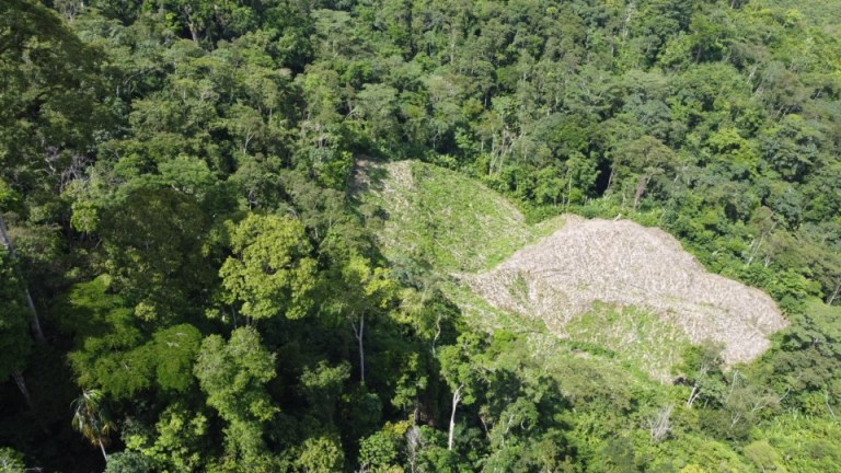 Las imágenes muestran puntos deforestados al interior del Parque Nacional Natural Paramillo, en los departamentos de Córdoba y Antioquia.