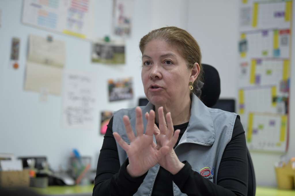 Directora de la Misión de Observación Electoral (MOE), en entrevista.