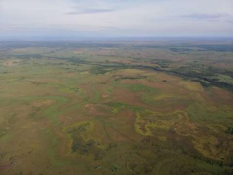 Las discusiones de la COP 16 y el rol que tendrá Colombia como país anfitrión