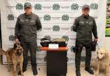 Perros de la Policía detectaron marihuana en encomiendas hacia Arauca, Atlántico y Boyacá