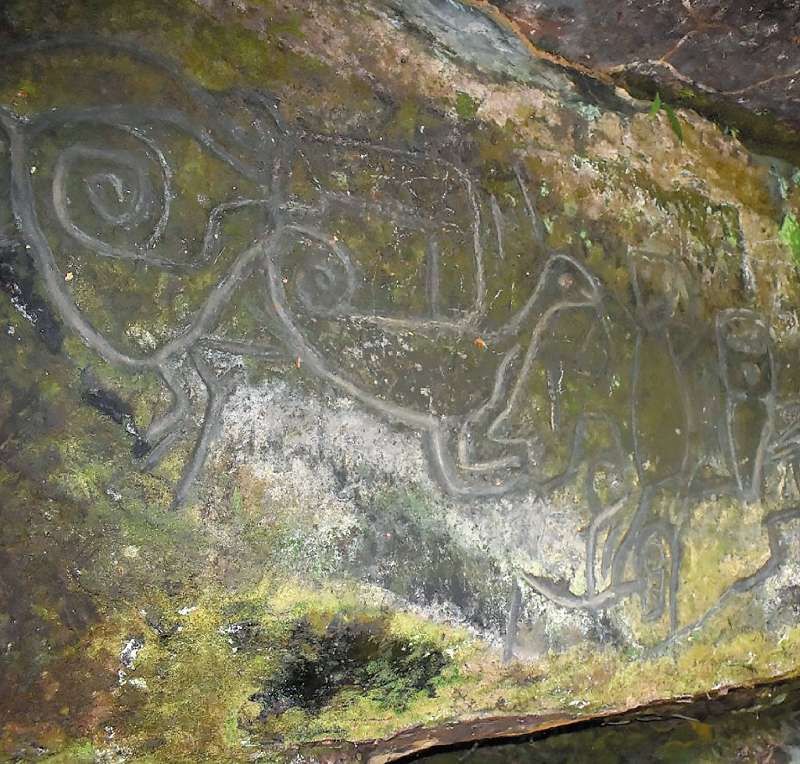 En El Encanto (Florencia) hay más de 40 figuras en 16 metros de longitud en una piedra. / William Saavedra
