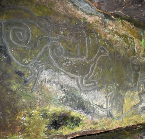 El arte rupestre de la Amazonia que está en riesgo de perderse