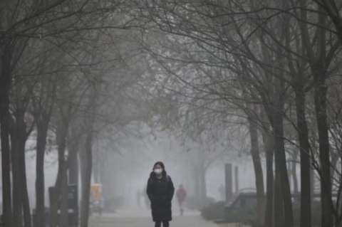 Greenpeace alerta que China aumentó 3 % sus emisiones de CO2 en 2018