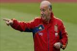 Nadie tiene en cuenta los intereses de la selección: Del Bosque