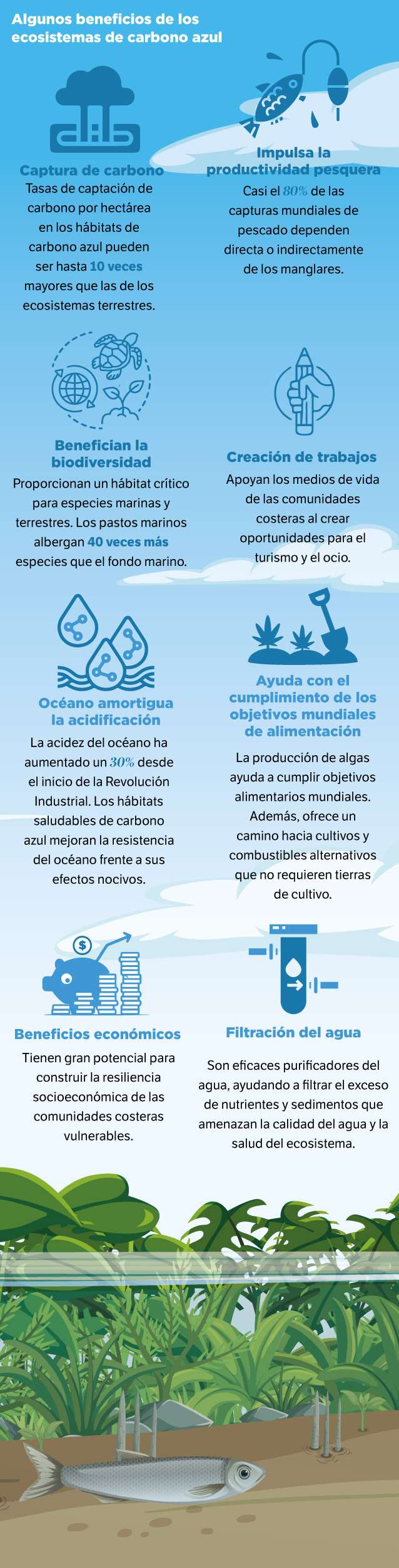 Algunos beneficios de los ecosistemas de carbono azul. / Ilustración de El Espectador con datos del reporte Blueprint for a Living Planet (2021), de WWF.