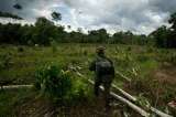 En Puerto Asís denuncian que Policía Antinarcóticos le disparó a un menor de edad