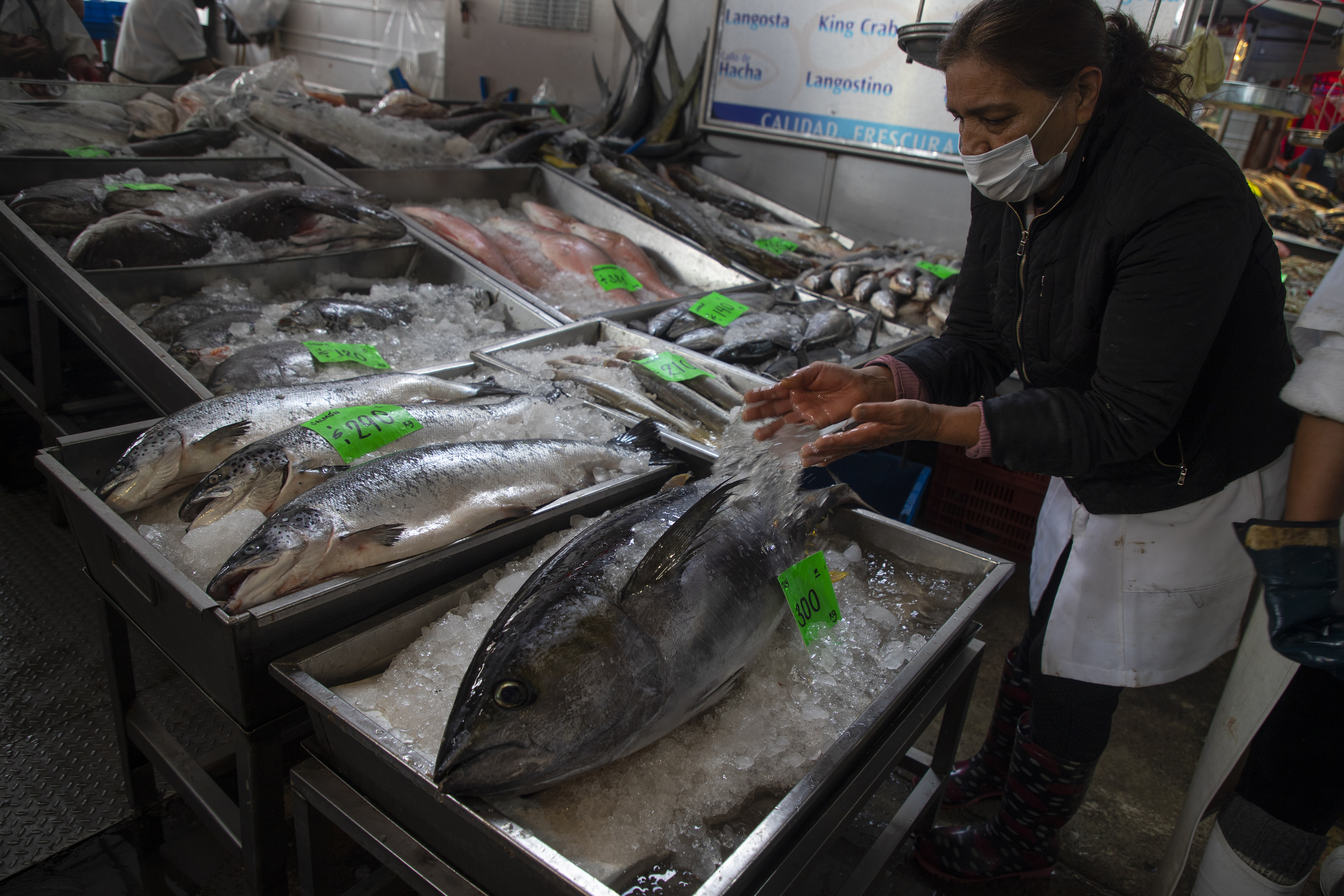 MEX927. CIUDAD DE MÉXICO (MÉXICO), 13/04/2022.- Vendedores de pescado ofrecen sus productos el 12 de abril de 2022, en el mercado de pescados y mariscos La Viga, en Ciudad de México (México). Rocío Franco es un ama de casa que acude cada año por estas fechas a La Viga, el mercado de pescado y mariscos más grande de América Latina, en busca de los mejores precios para sus comidas de Cuaresma mientras esquiva el impacto de la inflación en México. EFE/ Isaac Esquivel