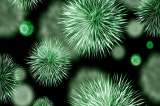 La base de datos global de microbios que fue posible gracias a un “crowdsourcing” científico