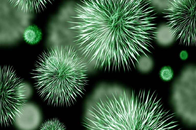 La base de datos global de microbios que fue posible gracias a un “crowdsourcing” científico