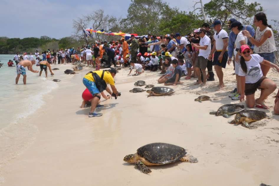 Parques Nacionales Naturales de Colombia. /Cortesía.