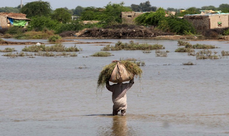 Inundaciones en Pakistán agudizan problemas estructurales de alimentación