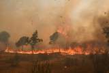 Ola de calor en Europa: un tren queda rodeado por incendios en España