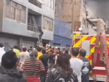 Video: colombiano rescató a 25 perros de incendio en Perú