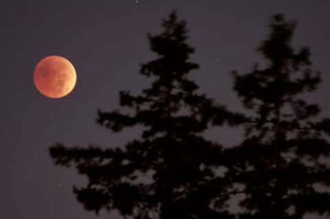 Eclipse lunar total y otros eventos astronómicos que serán visibles en marzo
