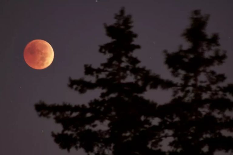 Eclipse lunar total y otros eventos astronómicos que serán visibles en marzo