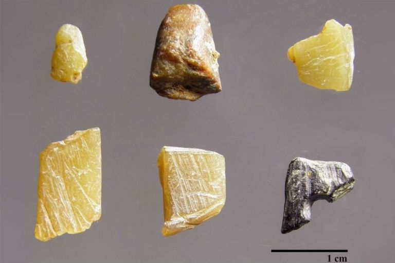 La cooperación salvó al Homo Sapiens hace 40.000 años