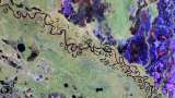 Este es el primer mapa satelital que ve dentro de los bosques del mundo