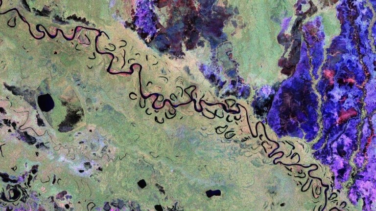 Este es el primer mapa satelital que ve dentro de los bosques del mundo