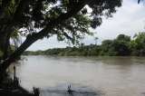 En fotos: San Luis de Palenque, Casanare: turismo y arraigo llanero a lomo de caballo
