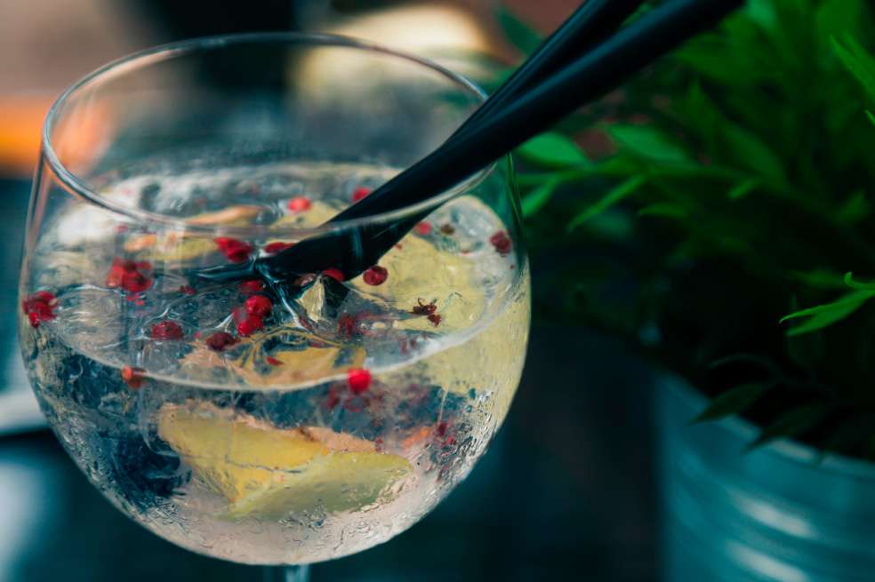 Cómo hacer un delicioso Gin Tonic de frutos rojos en casa