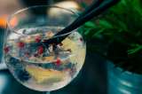 Gin tonic: prepara el cóctel perfecto para sorprender en tu fiesta de fin de año