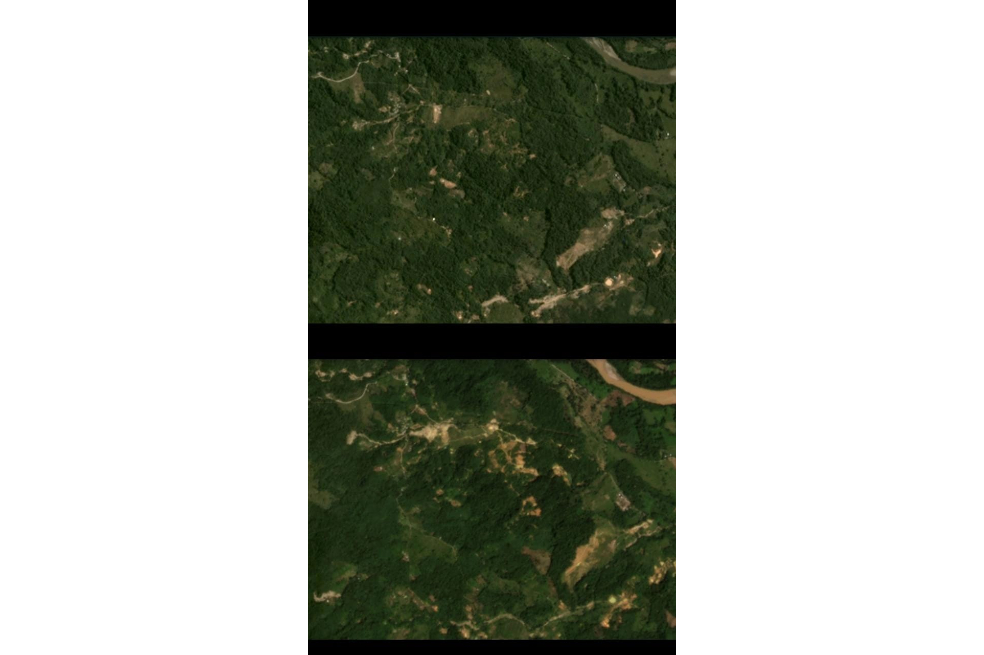 La plataforma Comimo, creada por el profesor Santiago Saavedra, advierte de otro tipo de minería en la Amazonía colombiana: a cielo abierto en tierra, en tres puntos específicos. En la reserva Nacional Natural Puinawai (Guainía), en Taraira (Vaupés), y en Puerto Guzmán (Putumayo). En este último, se evidencia en la imagen un aumento de la explotación de la tierra en el periodo de pandemia.