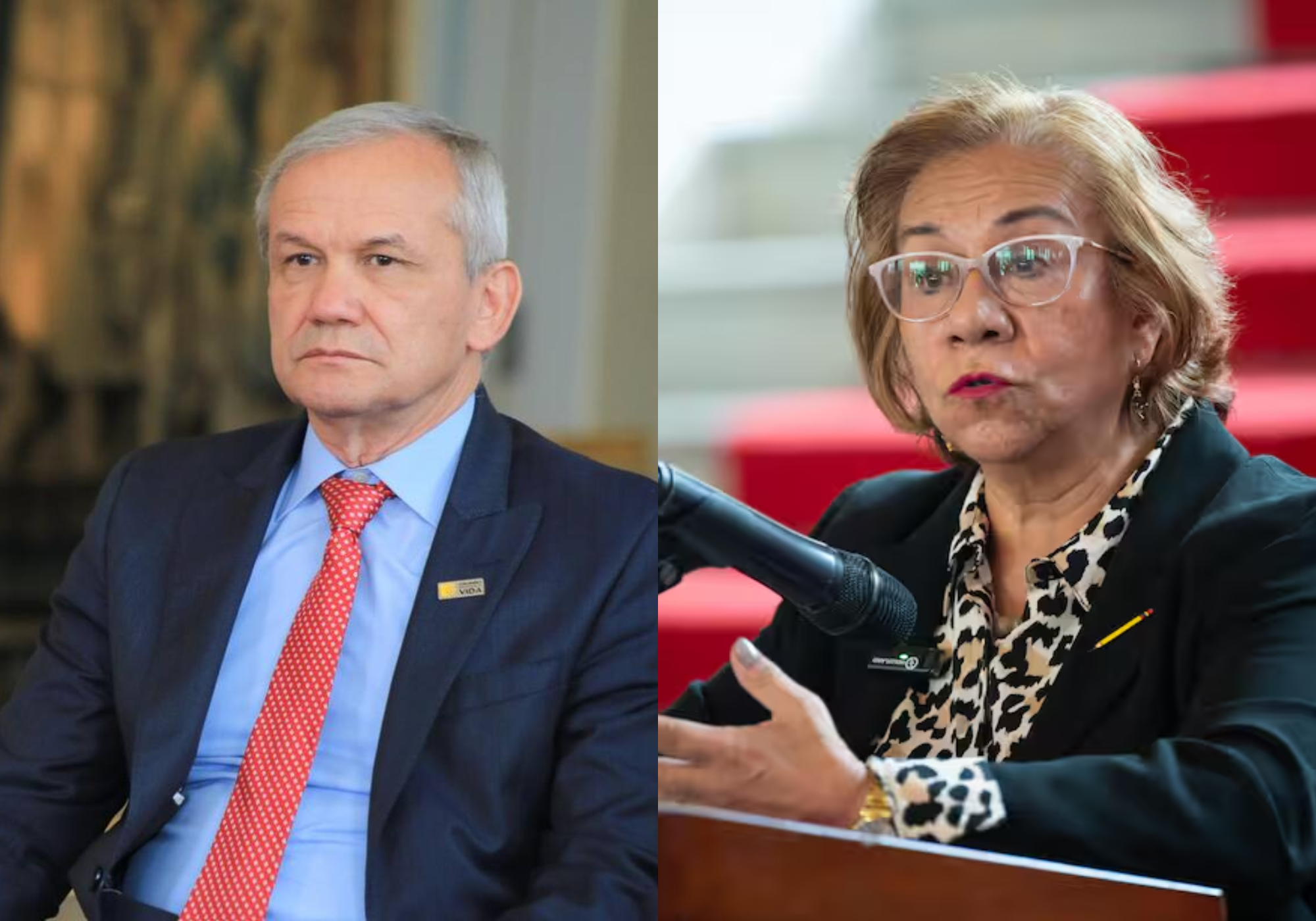 Prófugo de la justicia, Carlos Ramón González y canciller de la República Rosa Villavicencio.