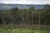 En Colombia, emisiones asociadas a cambio climático crecieron 17% entre 2014 y 2018