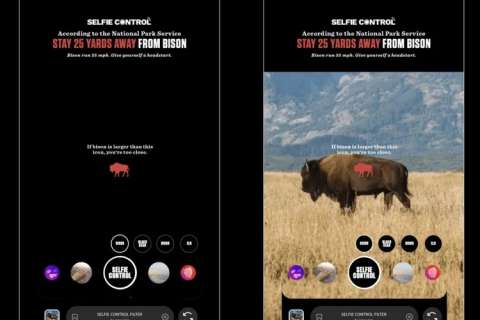 El filtro de Instagram que le avisa cuando está cerca de animales salvajes