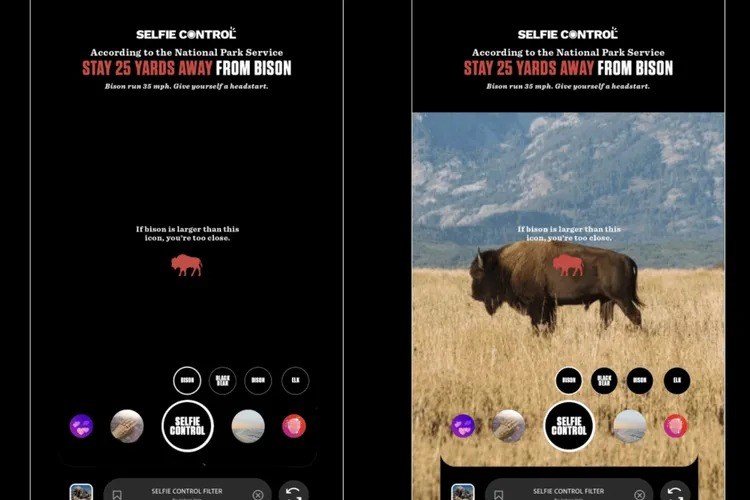 El filtro de Instagram que le avisa cuando está cerca de animales salvajes