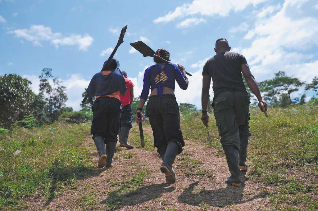 La mayoría de los casos de homicidios de excombatientes se dieron bajo la modalidad de sicariato. / Mauricio Alvarado - El Espectador