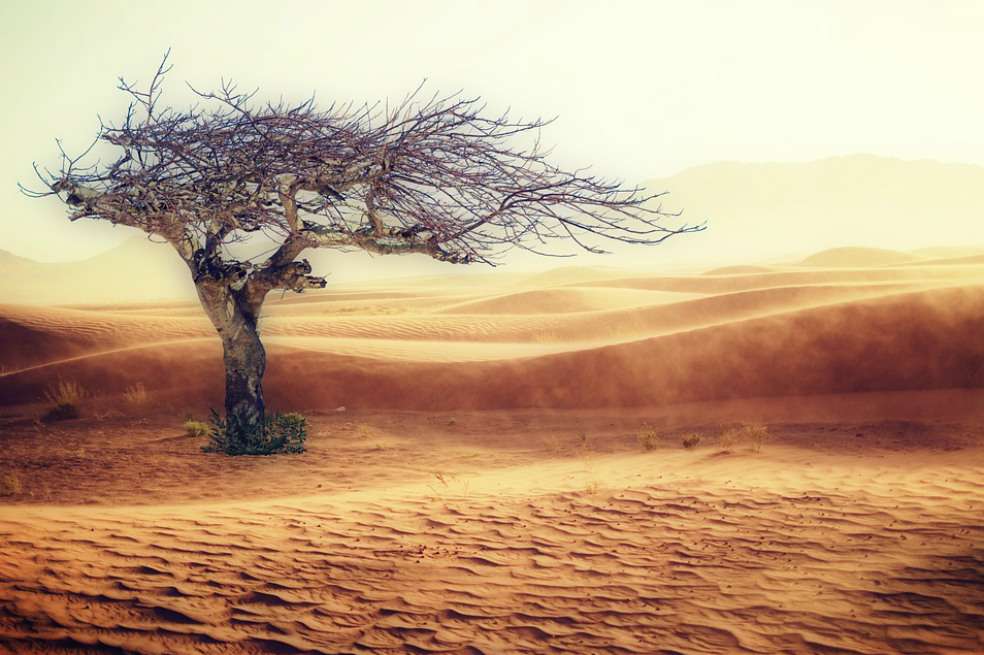 Los principales indicadores del cambio climático ponen en evidencia la urgencia de actuar, en momentos en que se abre en Bonn la 23ª conferencia de la ONU sobre cambio climático.
/ Pixabay