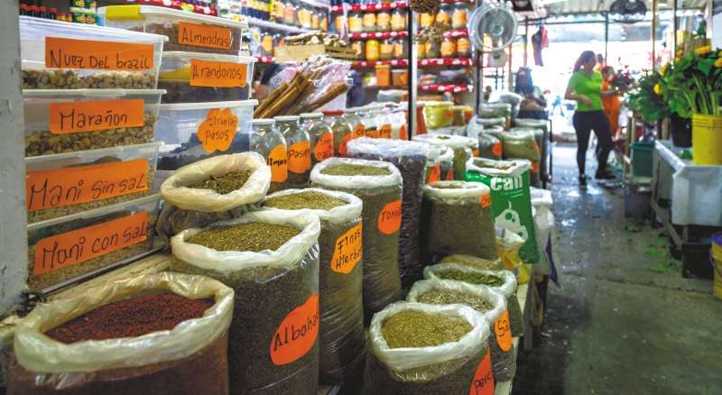 Variar la dieta es una alternativa para impulsar el consumo sostenible y conservar la variedad genética /Banco de Imágenes Instituto Humboldt.