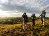 Colombia se consolida como destino líder para el avistamiento de aves en el mundo