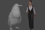 Una especie de "pingüino monstruo", tan grande como un humano, vivió en Nueva Zelanda