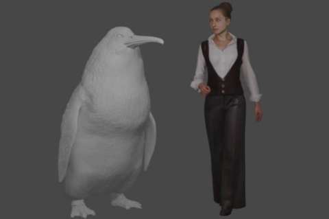 Una especie de "pingüino monstruo", tan grande como un humano, vivió en Nueva Zelanda