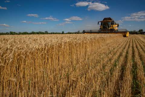 “Inaceptable”: UE sobre prohibición en Polonia y Hungría a cereales de Ucrania